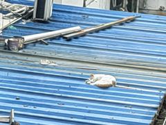 -上海市虹口区图书馆(曲阳分馆)