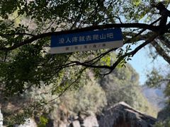 -石台牯牛降景区