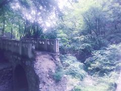 -北京上方山国家森林公园