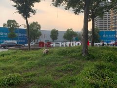 -砂之船奥莱(南京江宁店)