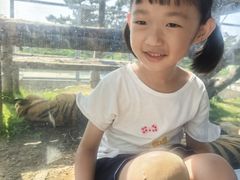 -西霞口神雕山野生动物世界