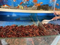 -星伦多自助料理·涮烤一体(杭州来福士店)