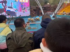 -宁波野生动物园
