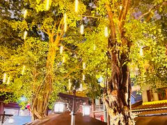 -大佛寺高级素食自助餐厅