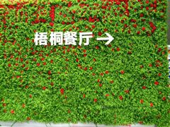 -梧桐餐厅(泉城路店)