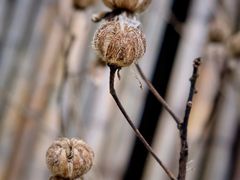 -宁波浙东大竹海景区
