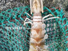 -湛江海鲜餐厅