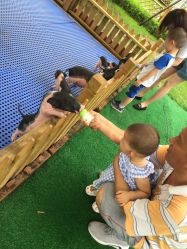 -萌宠亲子动物乐园(槐房万达店)