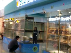 -乐宠宠物店(世纪金源店)