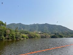 -深圳仙湖植物园