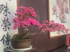 -上海醉白池公园