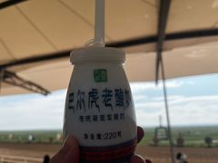 -呼伦贝尔大草原巴尔虎蒙古部落民俗旅游度假景区