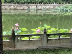 -南戴河国际娱乐中心