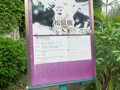 -灵玲国际马戏城