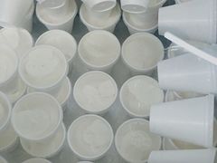 -洪馨椰子