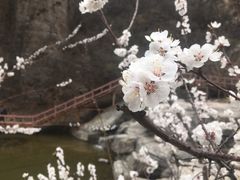 -狼牙山风景区
