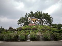 -自贡恐龙博物馆