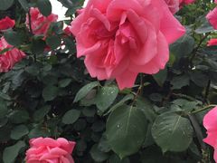 -上海望仙安息园