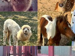 -渔岛海洋度假区