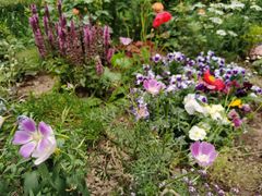 -首开·常青藤二期