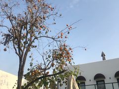-素心小筑(后沙裕镇店)