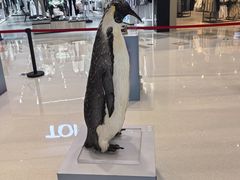 -龙湖南京江北天街