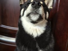 -大桥道食品商店(咸阳路店)