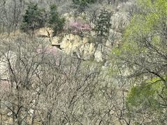 -泰山风景名胜区