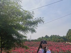 -都江堰玫瑰花溪谷
