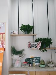 点击看大图 -WENDY·温迪皮肤管理