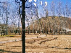 -北坞公园