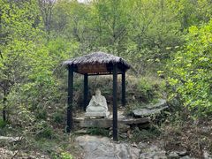 -皇藏峪国家森林公园