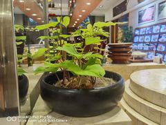 -旺顺阁海鲜广场(亚运村店)