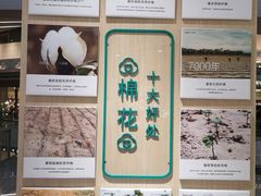 -Purcotton全棉时代(中航城天虹购物中心)