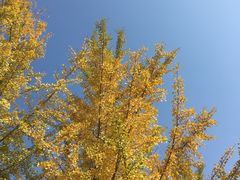 -浙江农林大学(东湖校区)