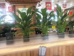 -大清花饺子(山庄店)