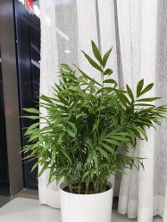 -悟空祛痘·诺奖技术专业店