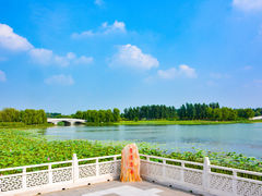 -南海子公园