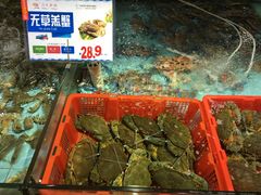 -渔民新村(番禺总店)