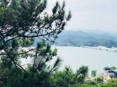 -千岛湖天屿景区