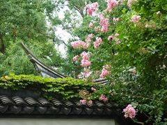 -上海醉白池公园
