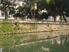 -光明港公园