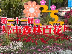 -上海共青森林公园