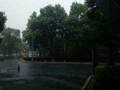 -奥林匹克体育中心游泳跳水中心