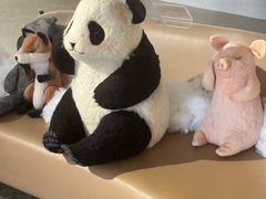 -辰熙ACX星海艺术中心