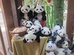 -轩客会(熊猫书店)