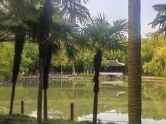 -瀛洲公园