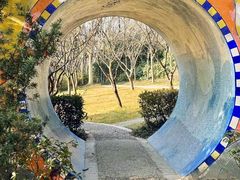 -长广溪湿地公园