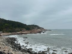 -广东惠东海龟国家级自然保护区