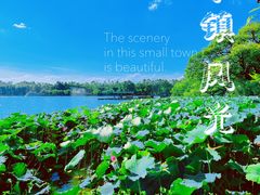 -湖畔居茶楼(湖滨店)